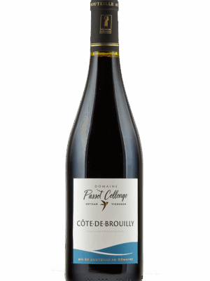 Cote de Brouilly 1 Côte de Brouilly 2021