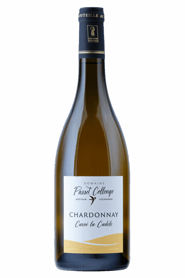 Beaujolais-Village Blanc Fût de chêne - Cuvée de la Cadole : 14,40 € x 6