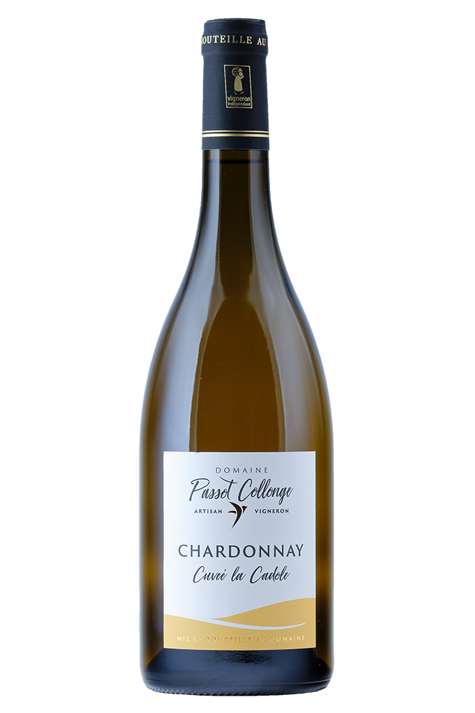 Beaujolais-Village Blanc Fût de chêne - Cuvée de la Cadole : 14,40 € x 6