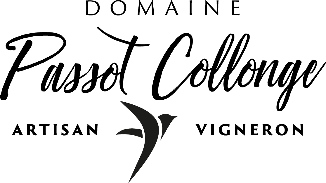 Logo Passot-Collonge